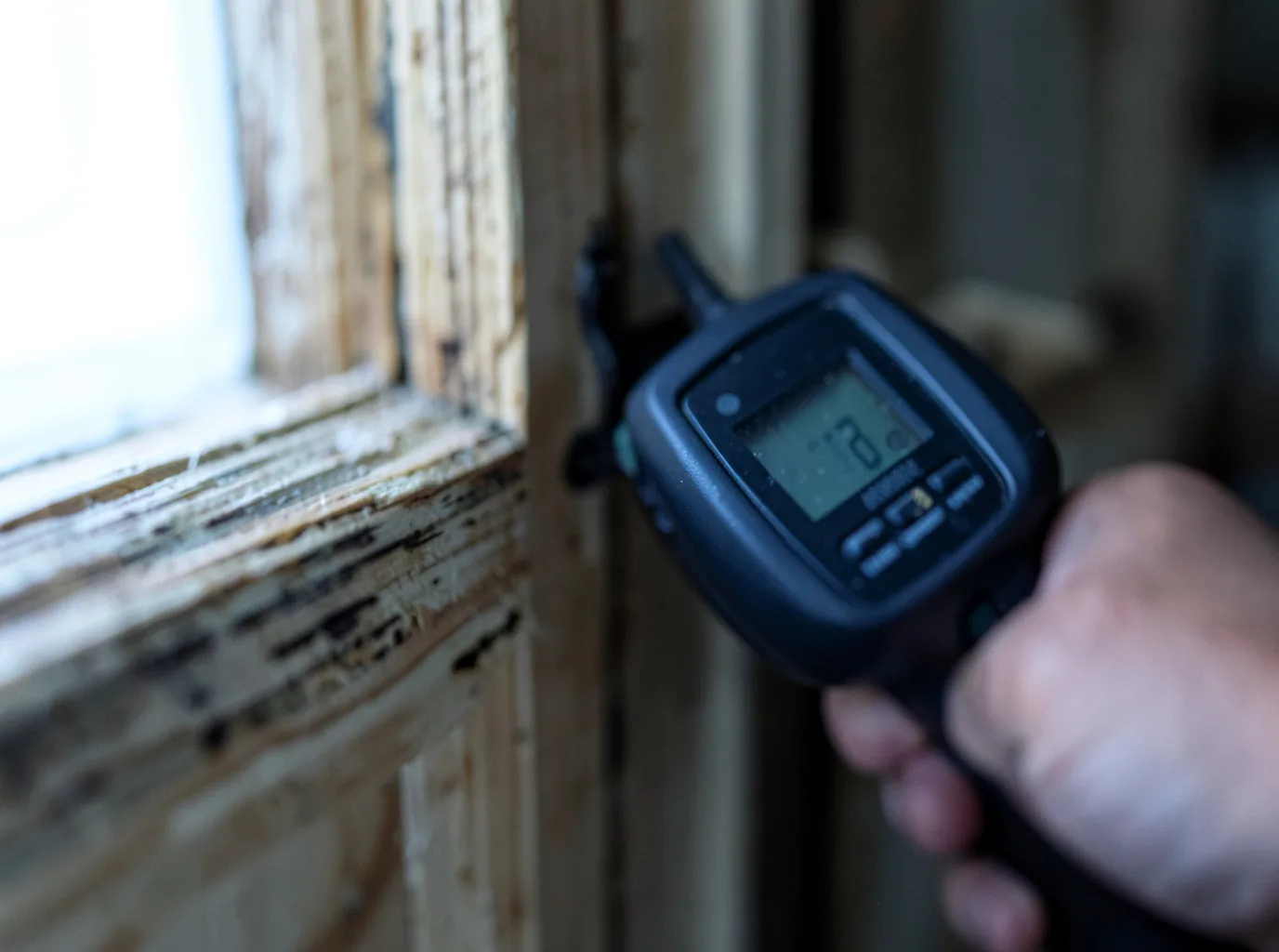 Moisture Inspection And Documentation in Pinedale, WY